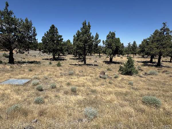 0.26 Acres of Land for Sale in Weed, California
