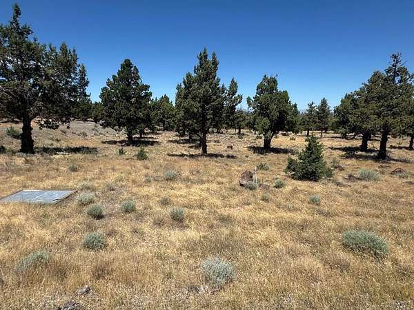 0.26 Acres of Land for Sale in Weed, California