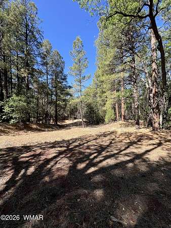 3.82 Acres of Residential Land for Sale in Lakeside, Arizona