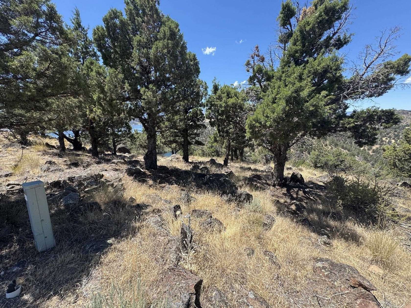 0.34 Acres of Land for Sale in Weed, California