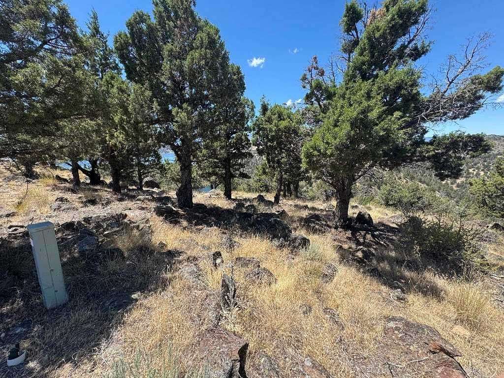 0.34 Acres of Land for Sale in Weed, California