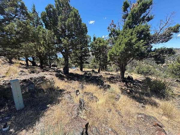 0.34 Acres of Land for Sale in Weed, California