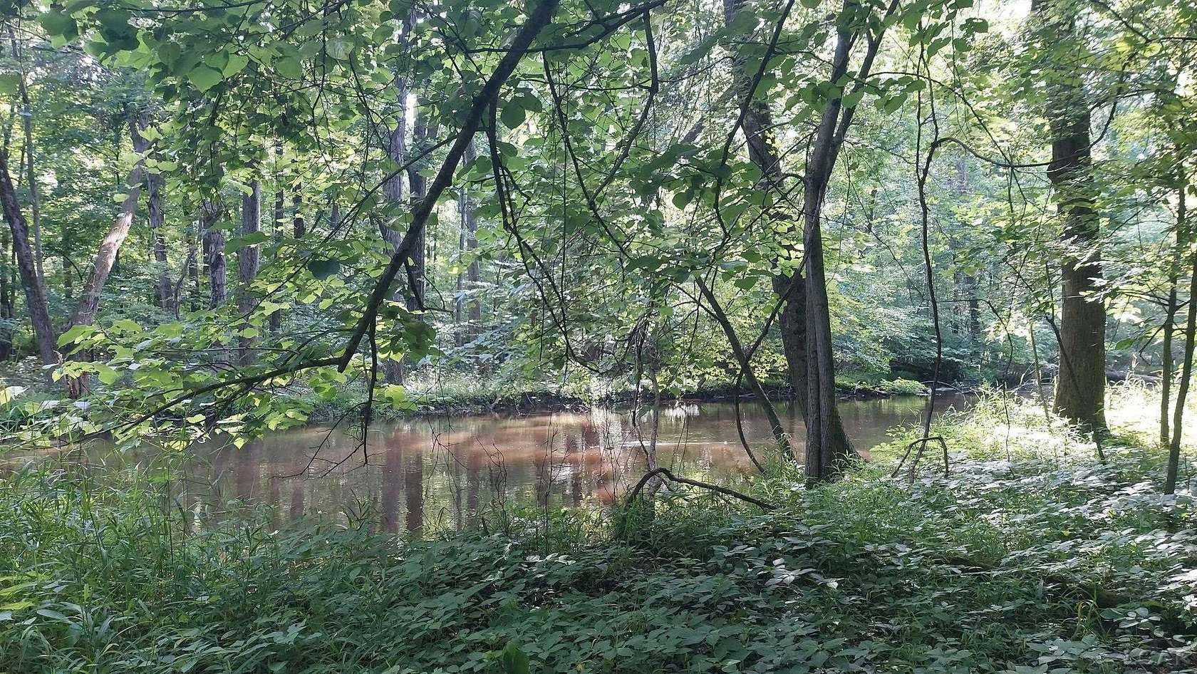 46 Acres of Land for Sale in Litchfield, Michigan