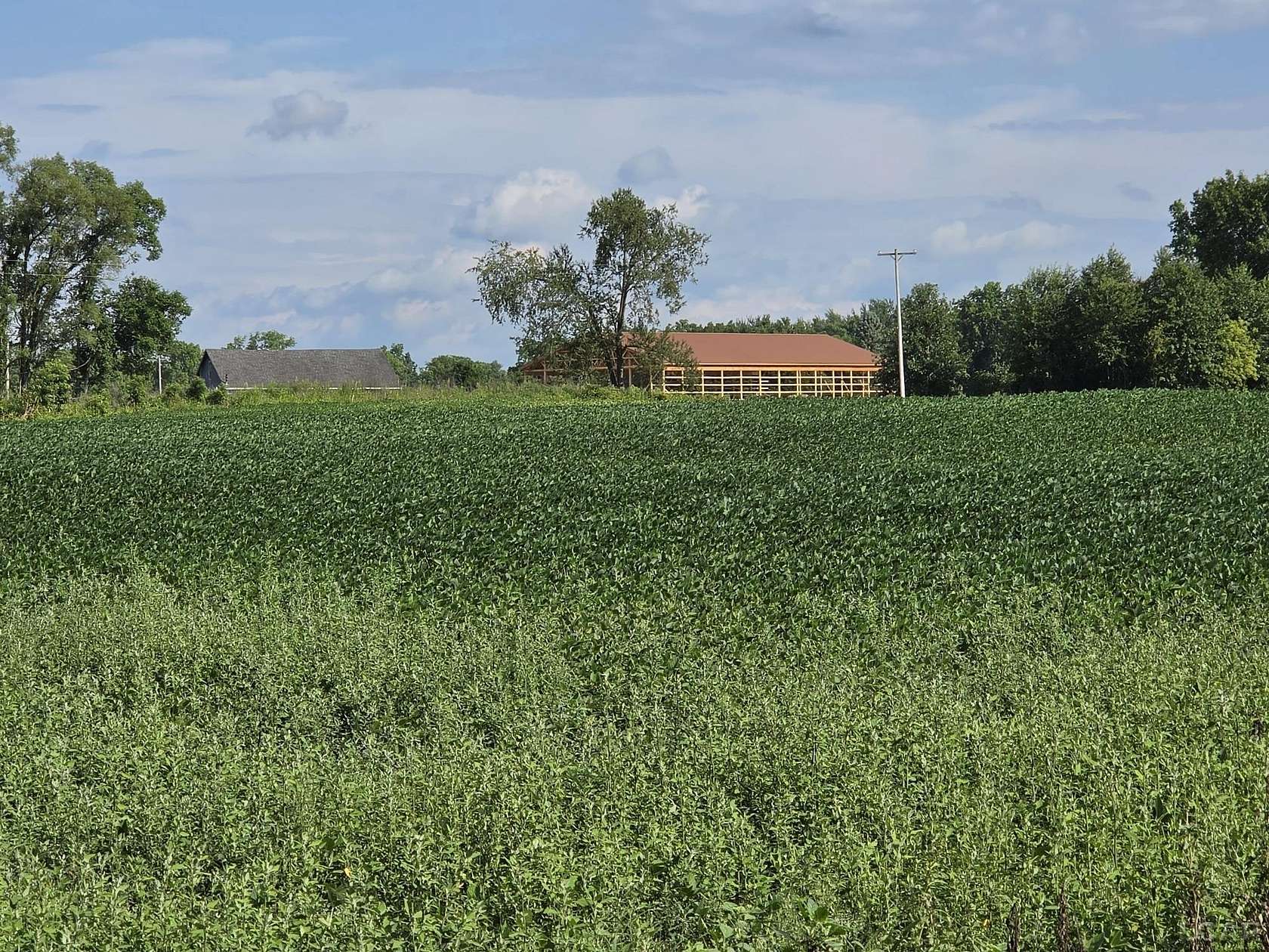 46 Acres of Land for Sale in Litchfield, Michigan