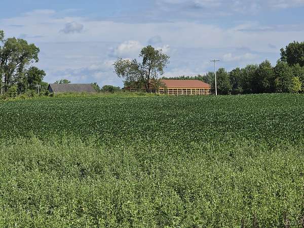 46 Acres of Land for Sale in Litchfield, Michigan
