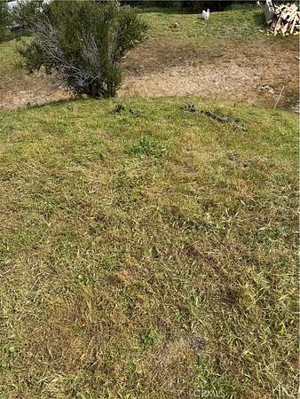 0.11 Acres of Land for Sale in Tujunga, California