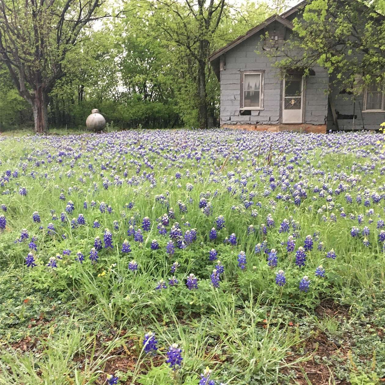 120 Acres of Land for Sale in Clifton, Texas