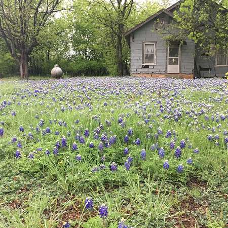120 Acres of Land for Sale in Clifton, Texas
