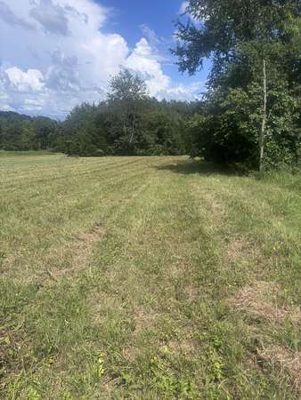 1.75 Acres of Land for Sale in Chapel Hill, Tennessee