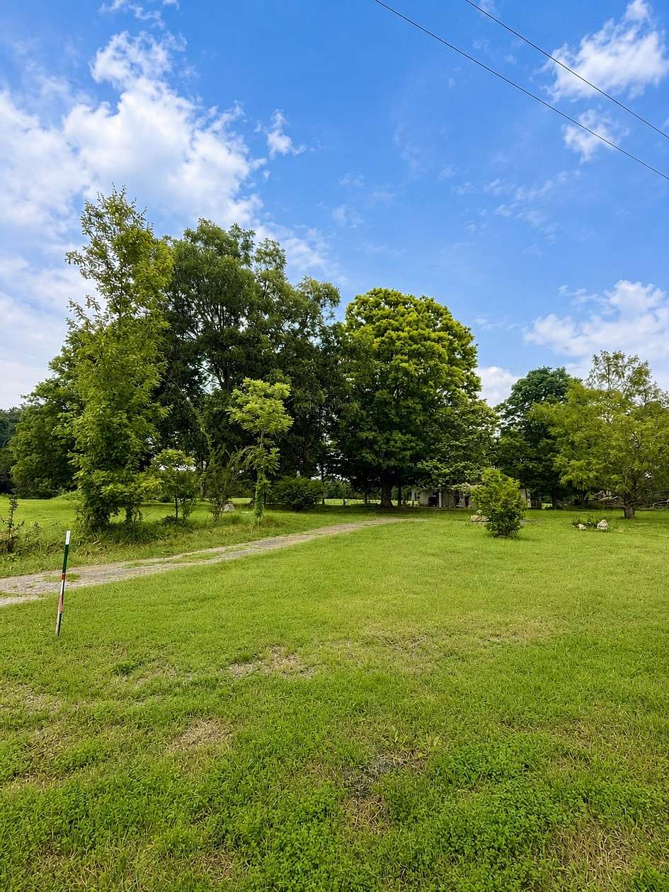 5 Acres of Residential Land for Sale in Smithville, Tennessee