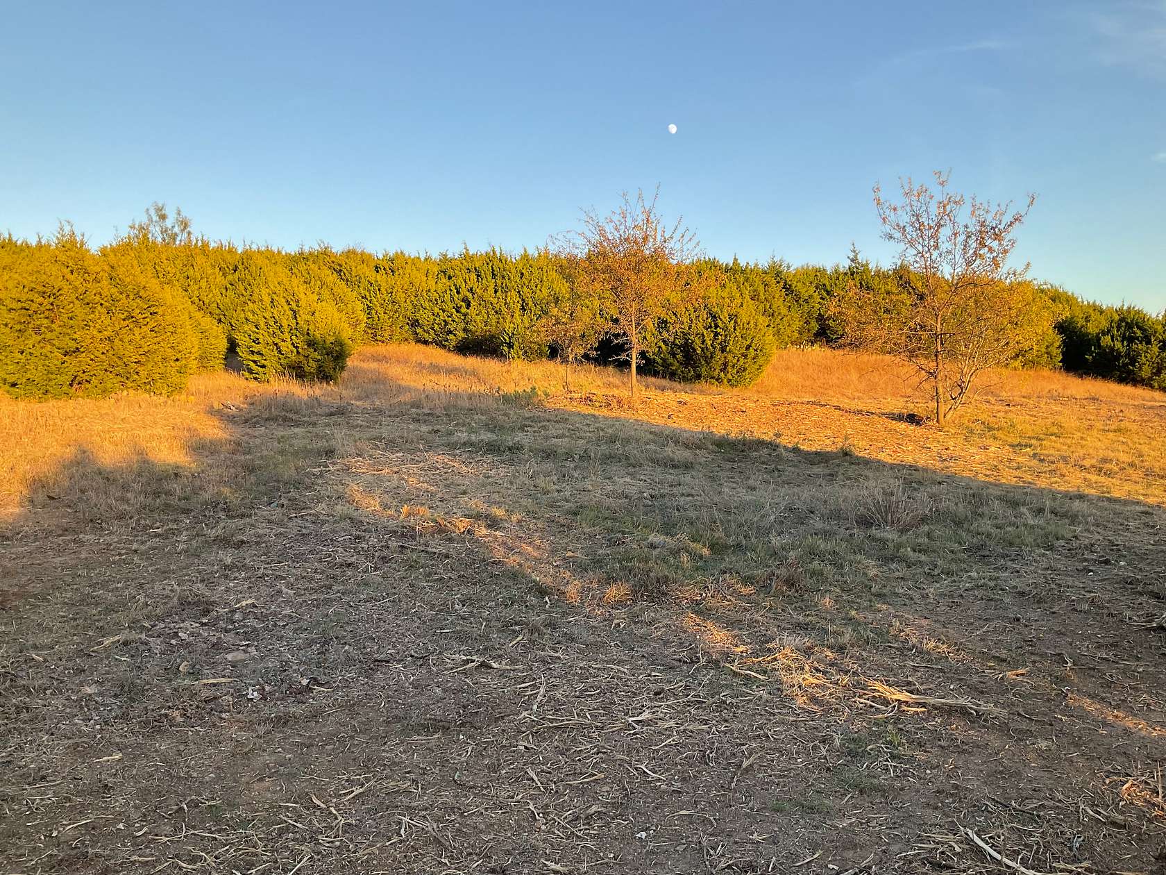 10.3 Acres of Recreational & Residential Land for Sale in Mineral Wells, Texas