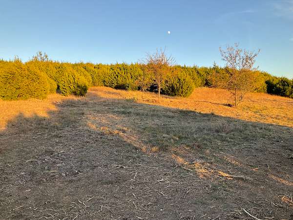 10.3 Acres of Recreational & Residential Land for Sale in Mineral Wells, Texas