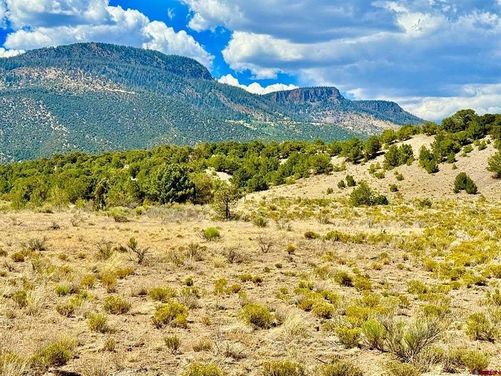 9.84 Acres of Land for Sale in South Fork, Colorado