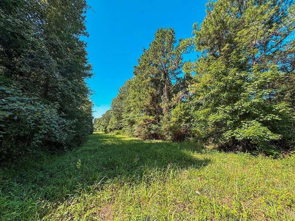 13.6 Acres of Land for Sale in Elkhart, Texas