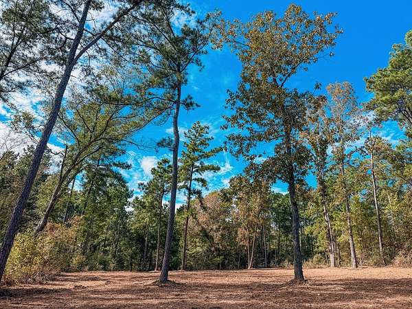 13.6 Acres of Land for Sale in Elkhart, Texas