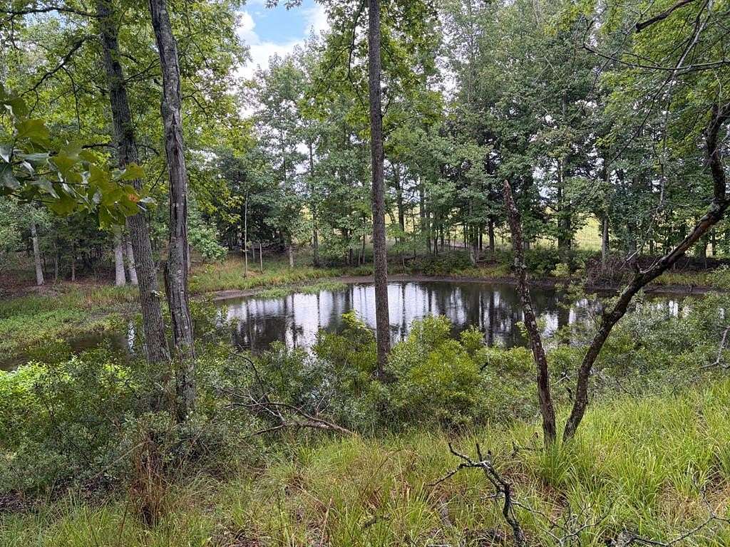 5 Acres of Residential Land for Sale in LaRue, Texas