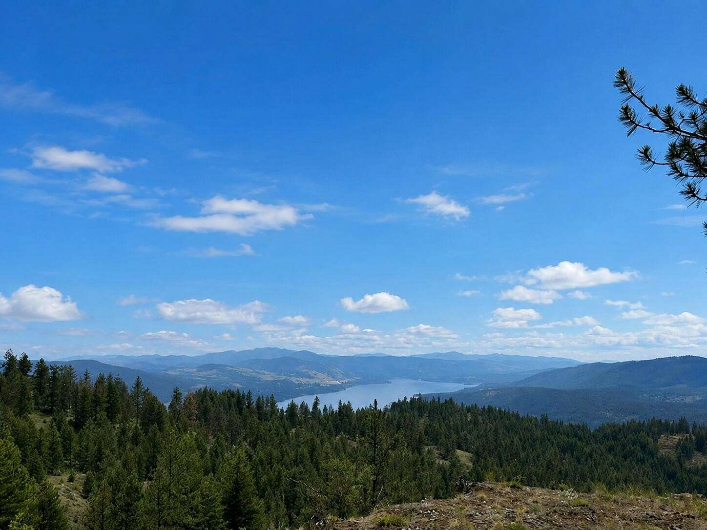 20 Acres of Recreational & Residential Land for Sale in Inchelium, Washington