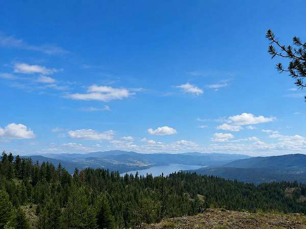 20 Acres of Recreational & Residential Land for Sale in Inchelium, Washington