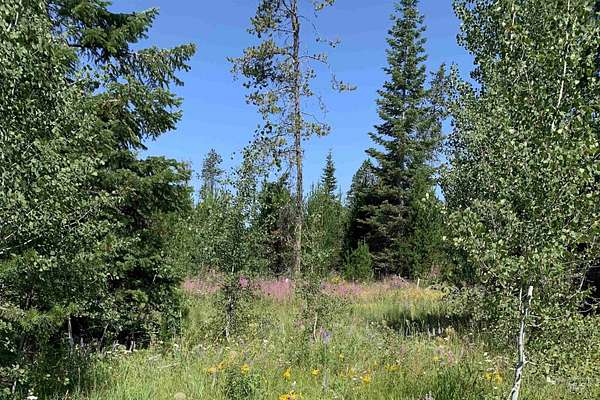 0.42 Acres of Land for Sale in Donnelly, Idaho