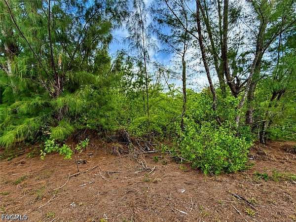 9.19 Acres of Land for Sale in Bokeelia, Florida
