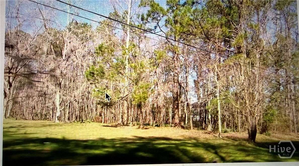 7.38 Acres of Residential Land for Sale in Savannah, Georgia