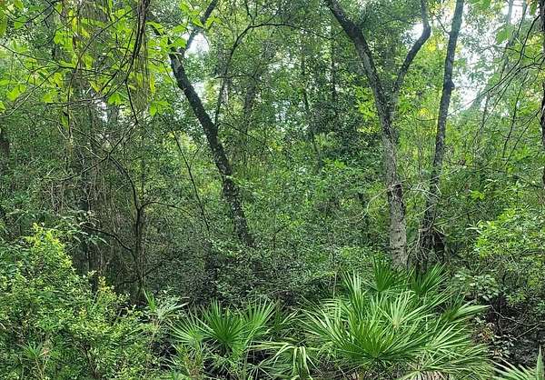 0.11 Acres of Residential Land for Sale in Crawfordville, Florida