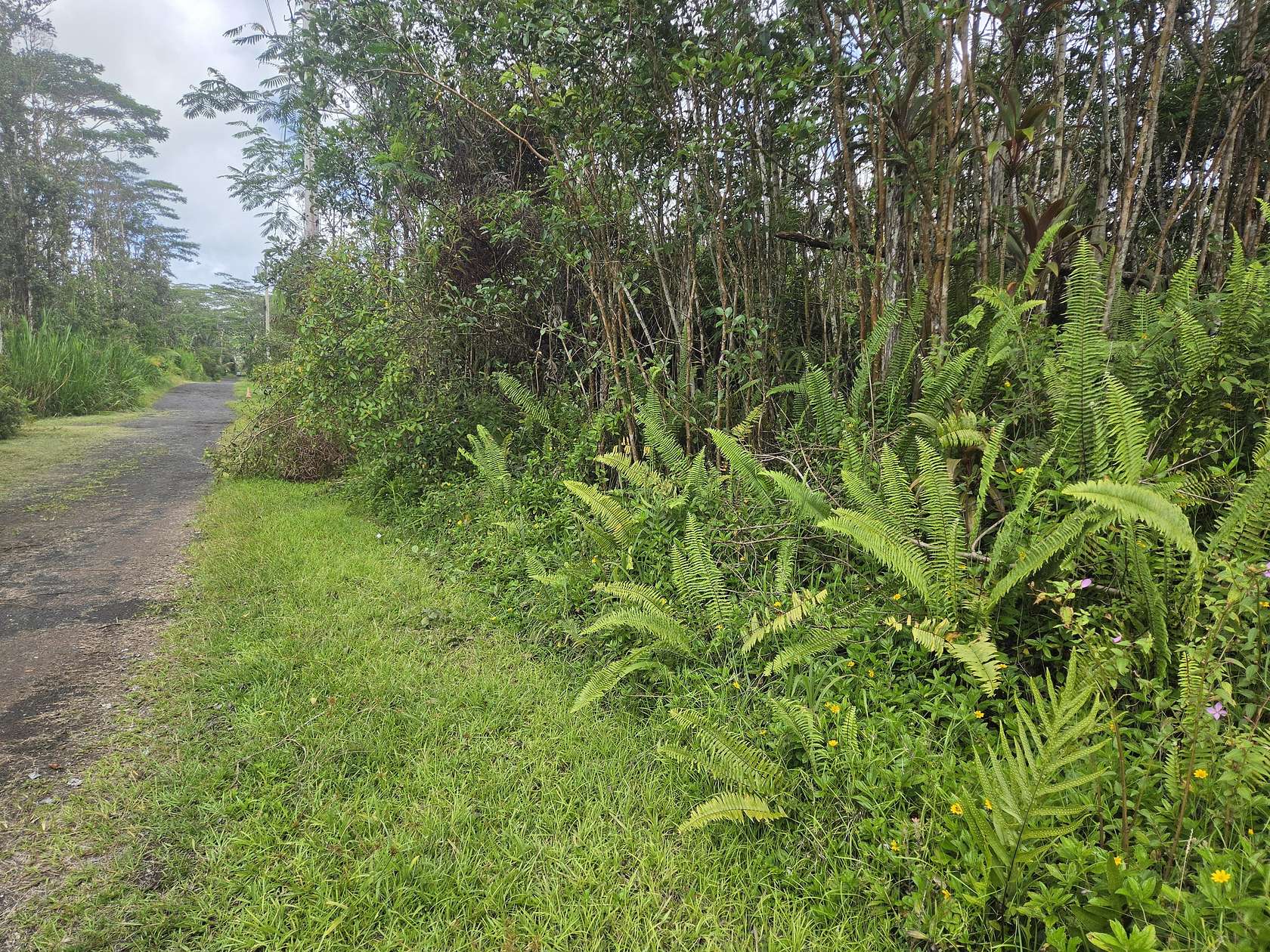 0.19 Acres of Land for Sale in Pahoa, Hawaii