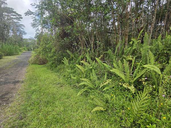 0.19 Acres of Land for Sale in Pahoa, Hawaii