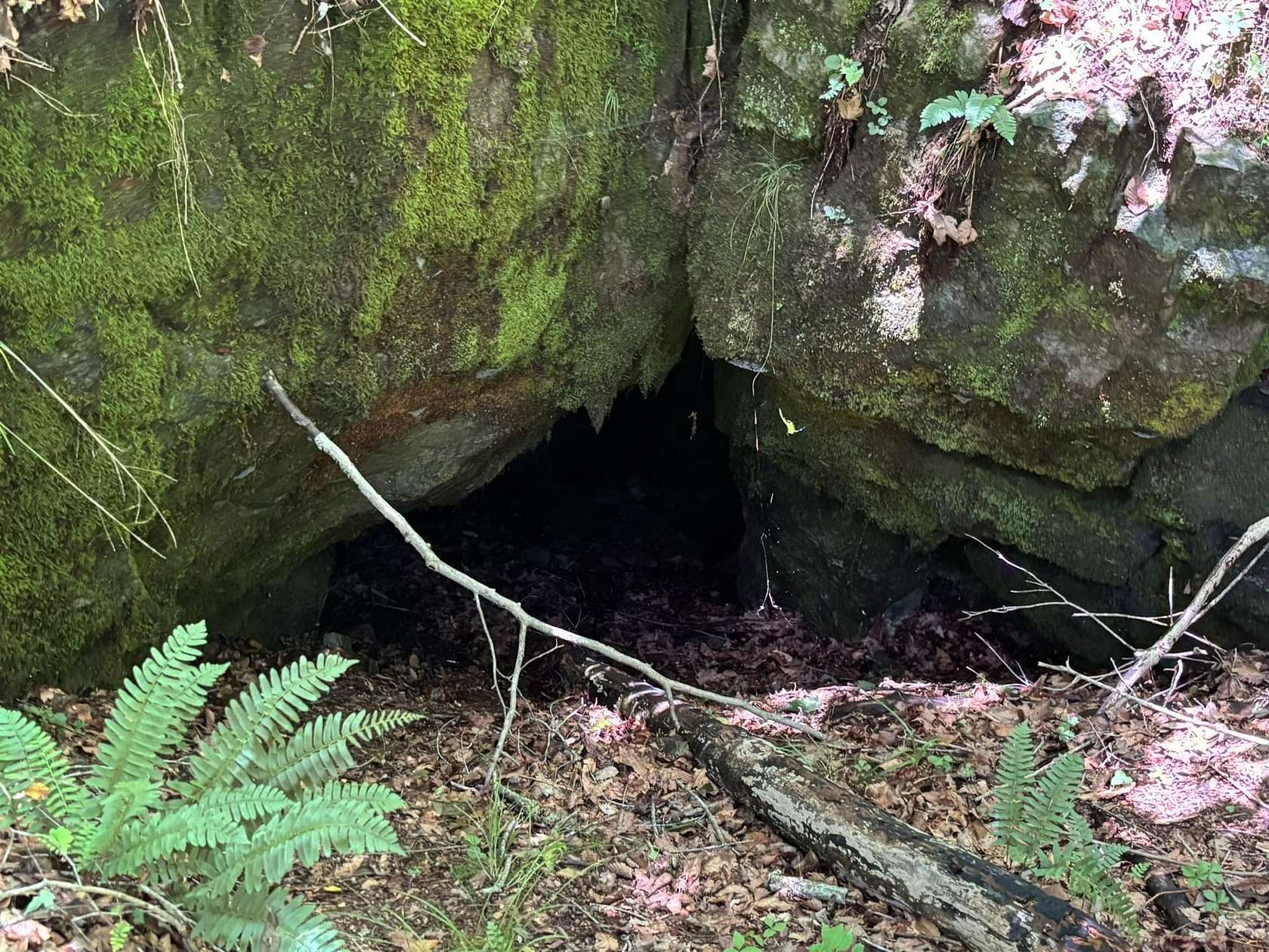 174 Acres of Recreational Land for Sale in Waynesboro, Tennessee