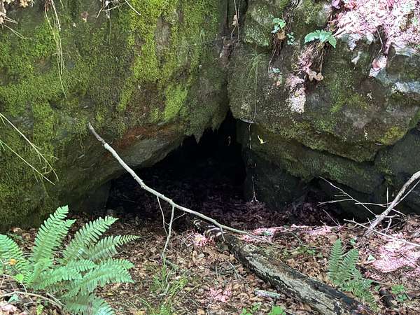 174 Acres of Recreational Land for Sale in Waynesboro, Tennessee