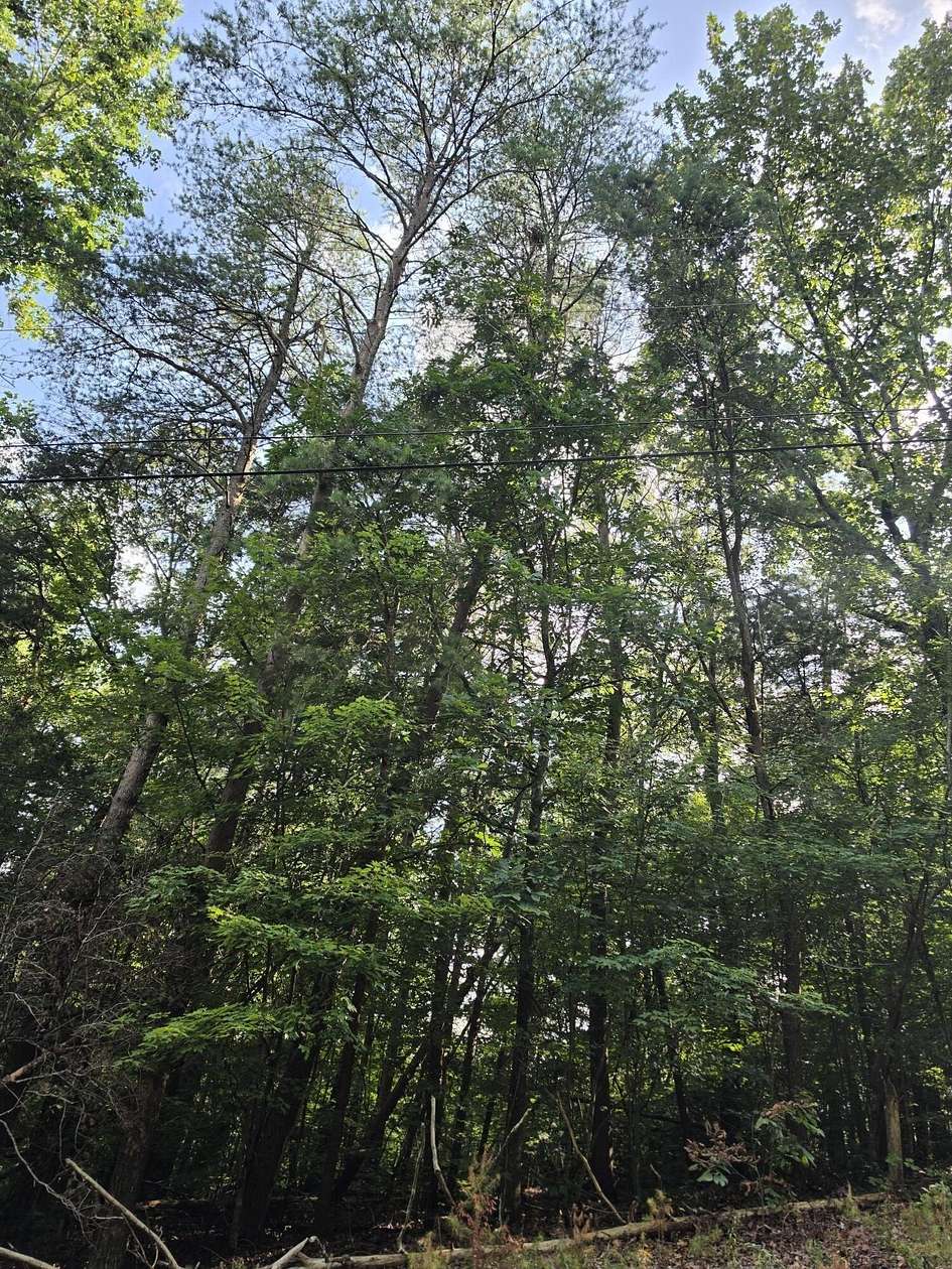 1 Acre of Residential Land for Sale in Dunlap, Tennessee