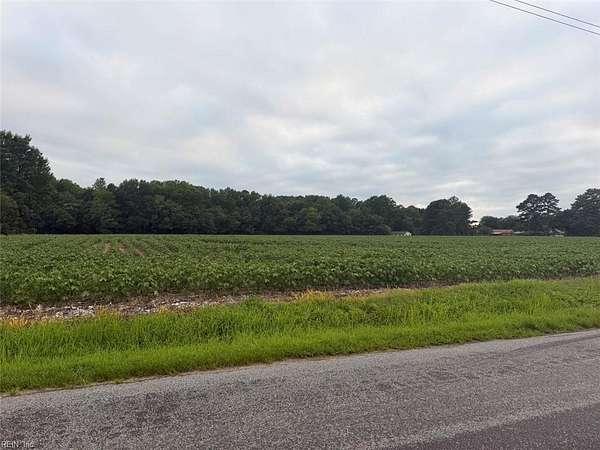 19.6 Acres of Land for Sale in Suffolk, Virginia