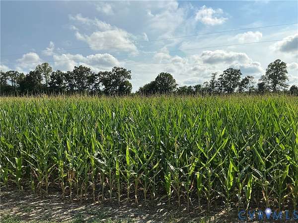 3.25 Acres of Land for Sale in Milford, Virginia