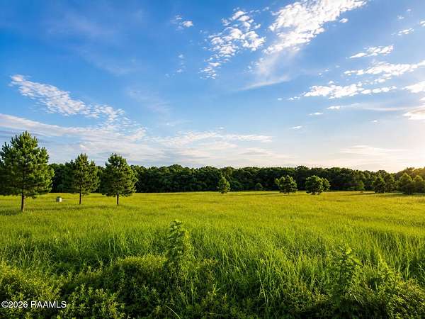 15.6 Acres of Recreational & Residential Land for Sale in Church Point, Louisiana