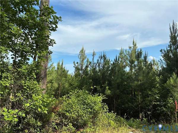 48.7 Acres of Land for Sale in Milford, Virginia