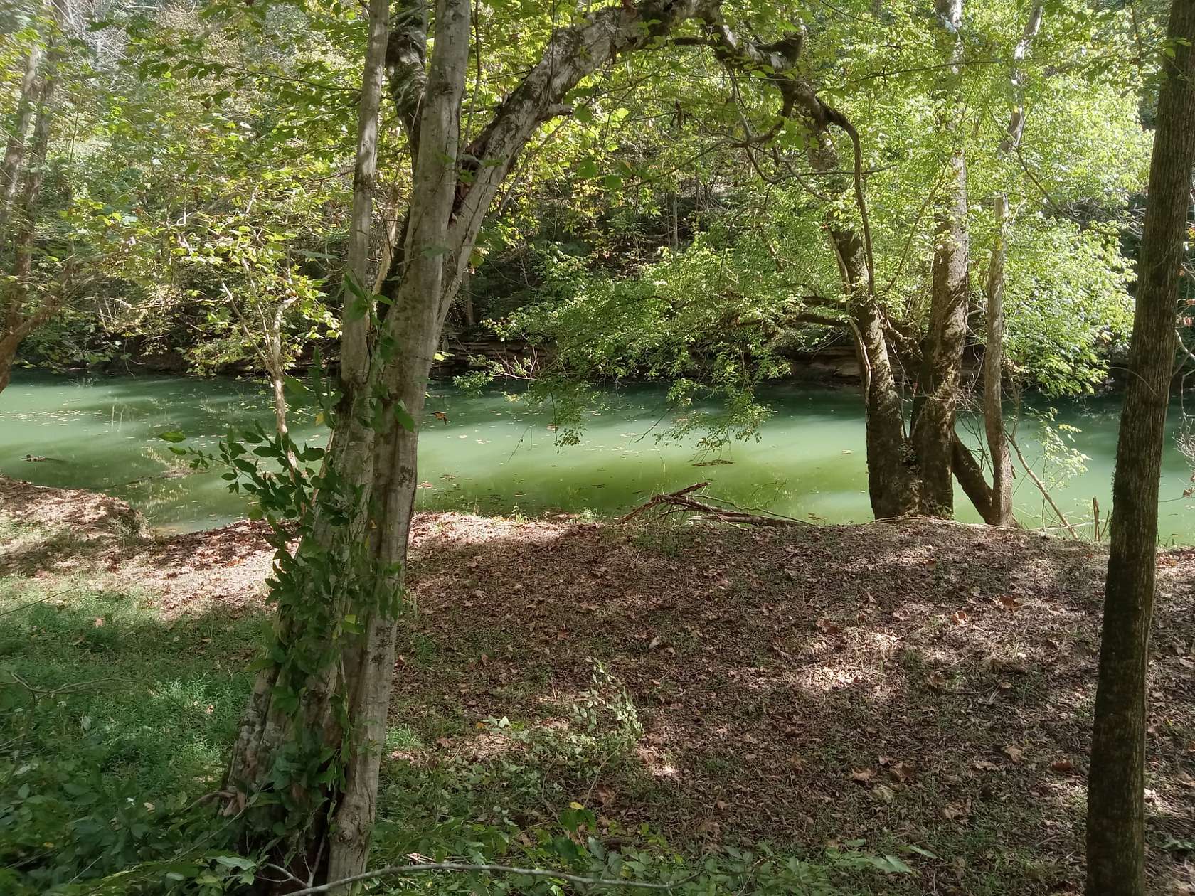 12.3 Acres of Land for Sale in Rock Island, Tennessee