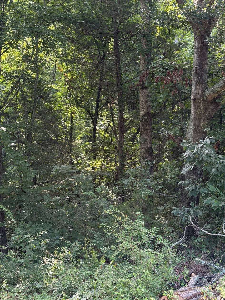 2 Acres of Residential Land for Sale in Honea Path, South Carolina