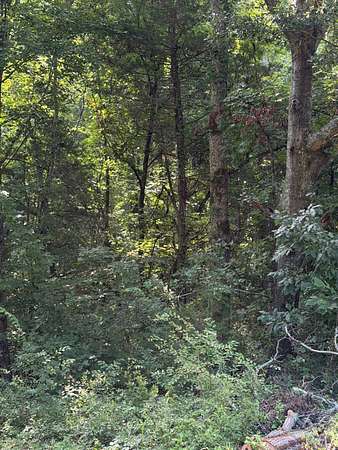 2 Acres of Residential Land for Sale in Honea Path, South Carolina