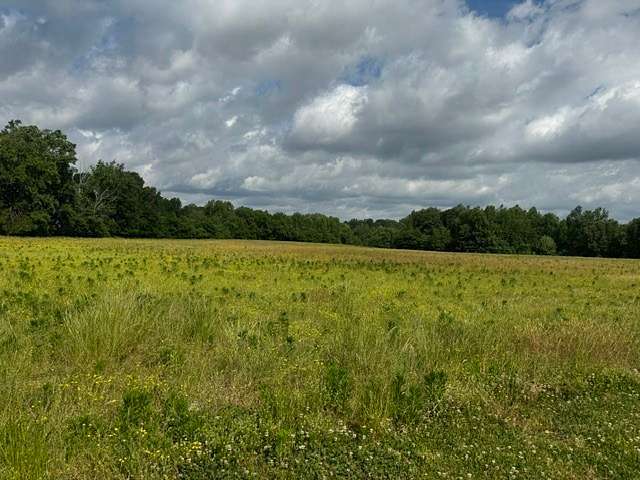 9.72 Acres of Land for Auction in Bethpage, Tennessee