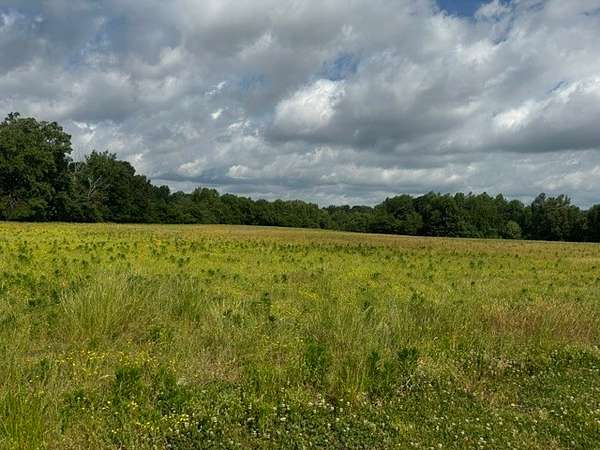 9.72 Acres of Land for Auction in Bethpage, Tennessee