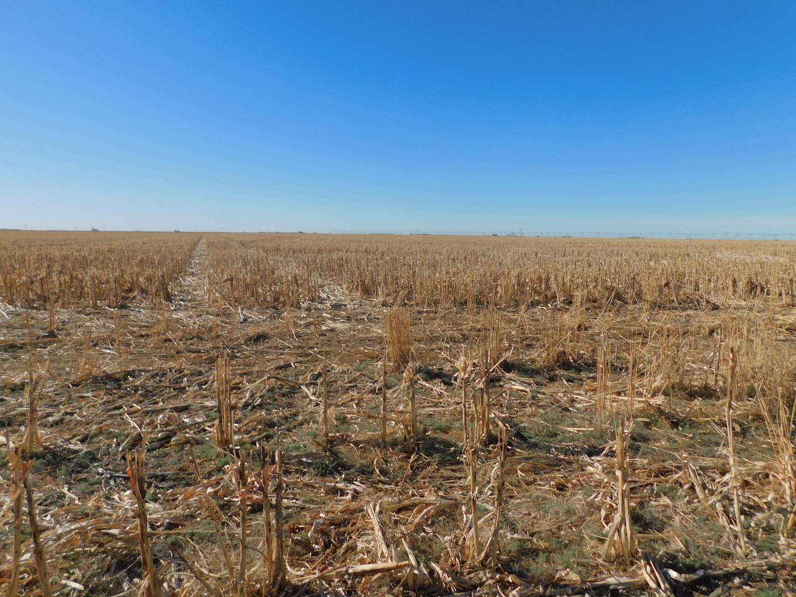 320 Acres of Land for Sale in Guymon, Oklahoma