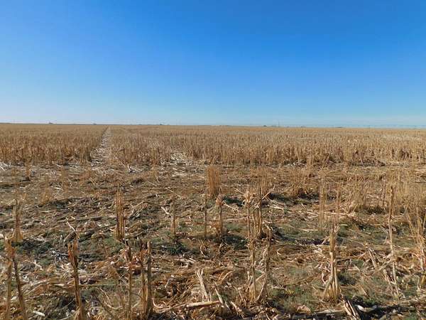 320 Acres of Land for Sale in Guymon, Oklahoma