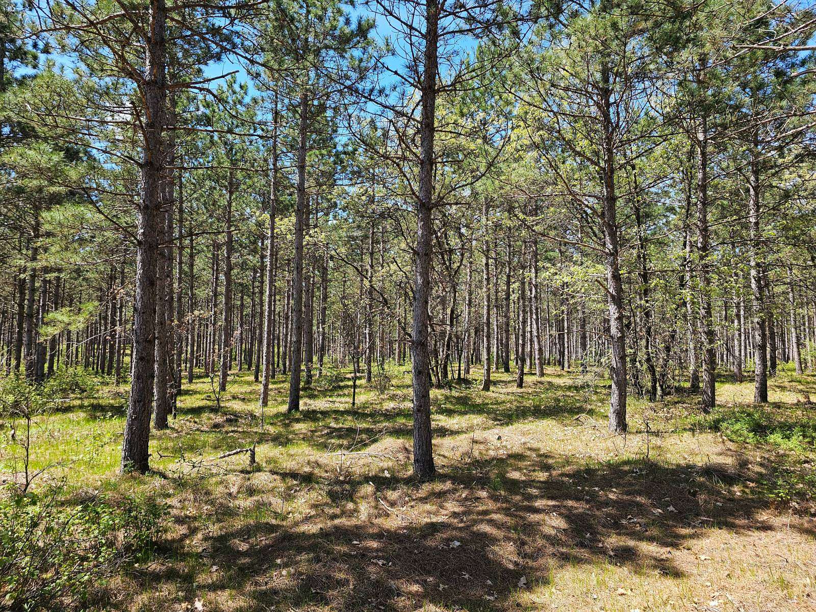 2.3 Acres of Land for Sale in Rome, Wisconsin