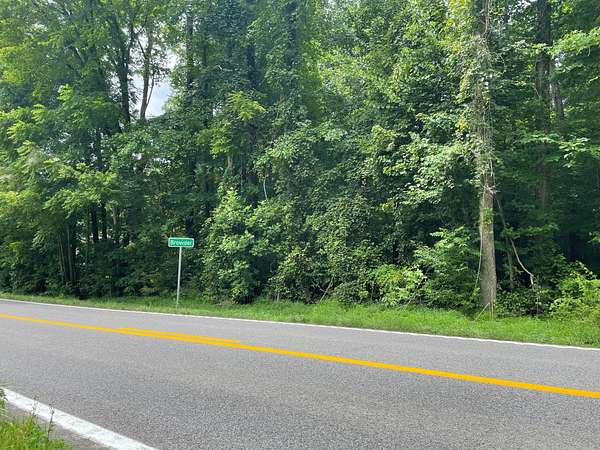 100 Acres of Recreational Land for Sale in Browder, Kentucky