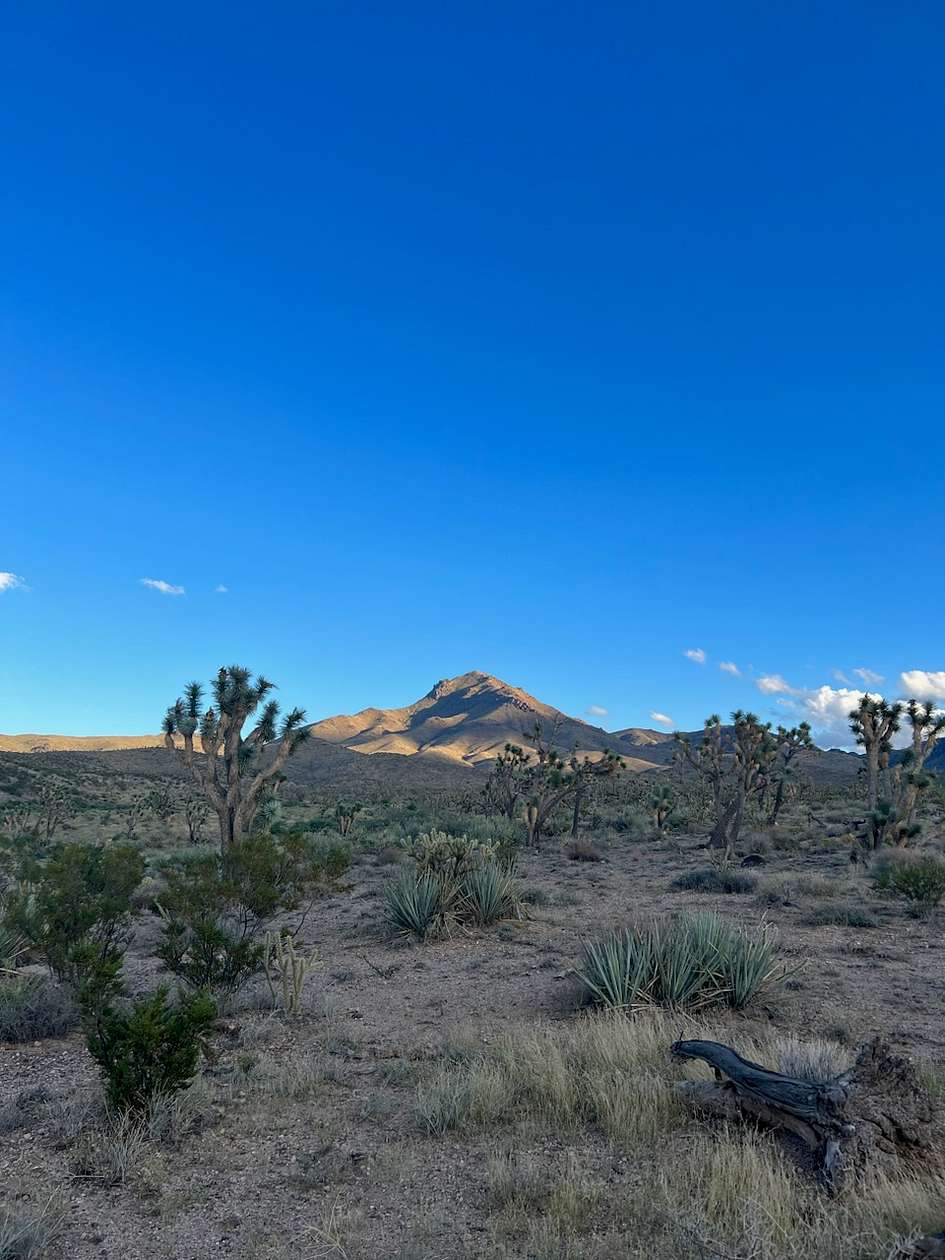 1.25 Acres of Residential Land for Sale in Dolan Springs, Arizona