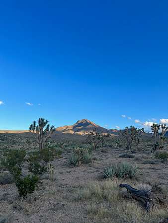 1.25 Acres of Residential Land for Sale in Dolan Springs, Arizona