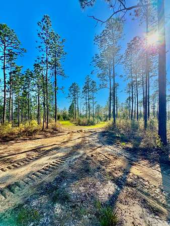 684 Acres of Land for Sale in Wilmer, Alabama