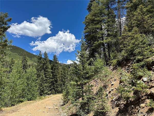 22 Acres of Recreational & Residential Land for Sale in Fort Garland, Colorado