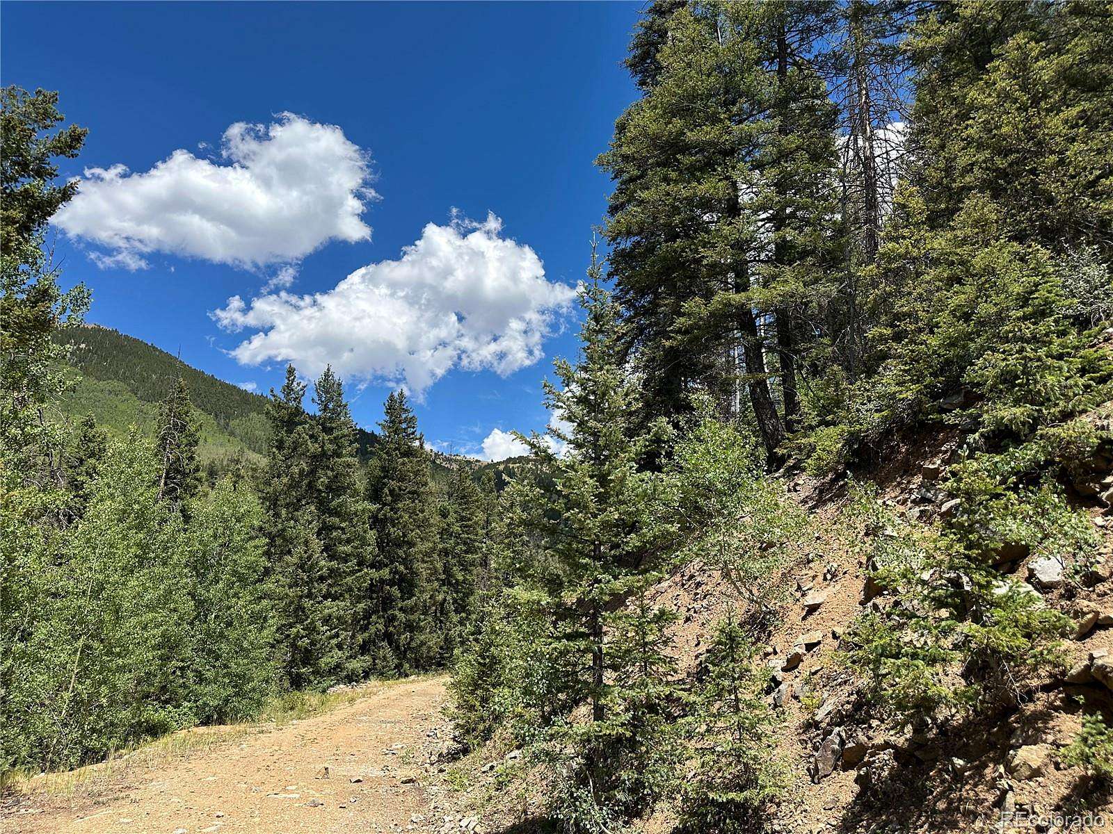 15 Acres of Recreational & Residential Land for Sale in Fort Garland, Colorado