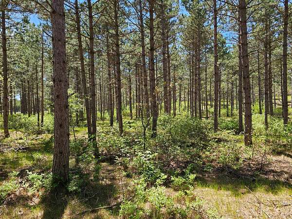 5.14 Acres of Land for Sale in Rome, Wisconsin